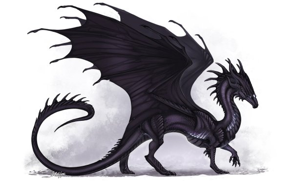Черный дракон виверна