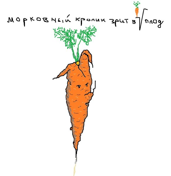 Кролик и морковка Афориза