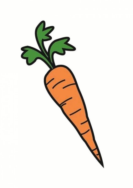 Морковка для срисовки
