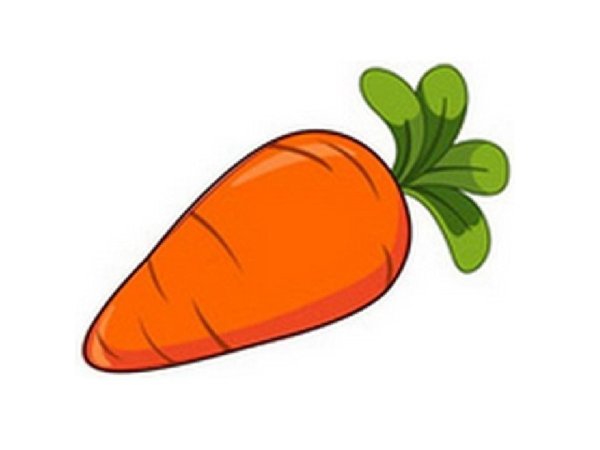 Морковь для детей в детском саду
