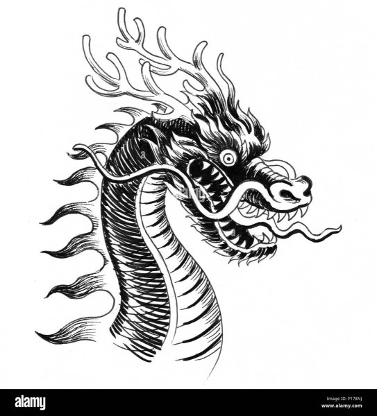 Голова китайского дракона