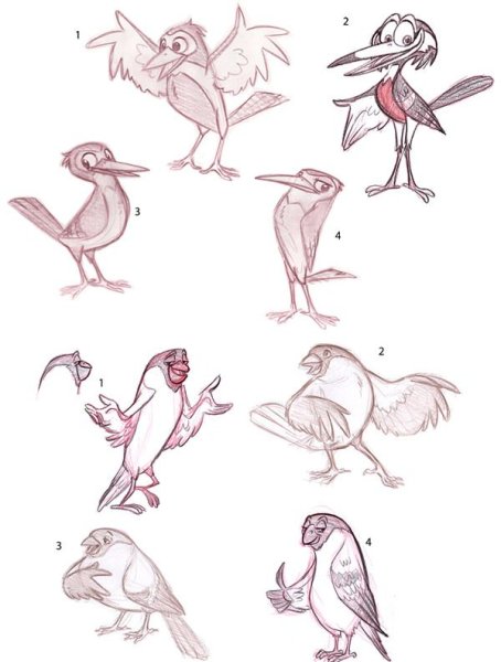 Позы птиц для рисования