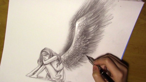 Крылья ангела карандашом