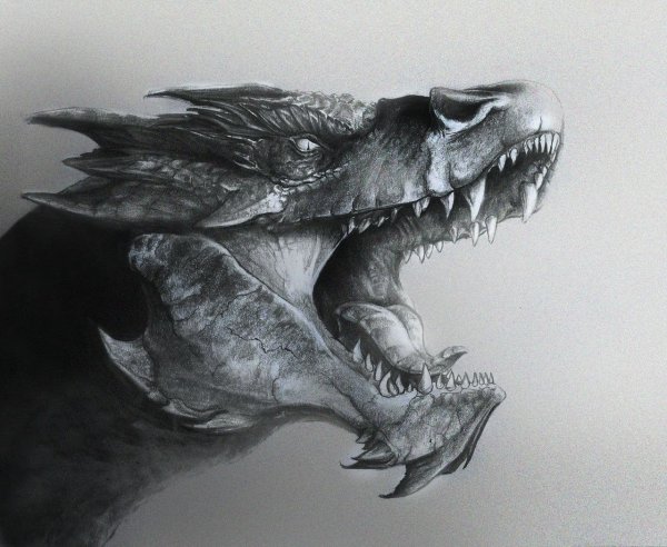 Голова дракона эскиз