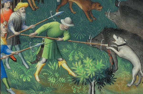 Охота рыцарей в средние века