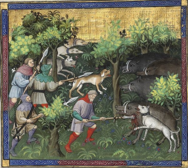 Рыцарская охота в средневековье