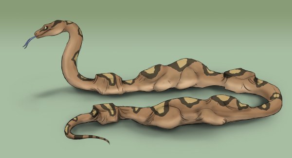 ТИТАНОБОА змея скелет