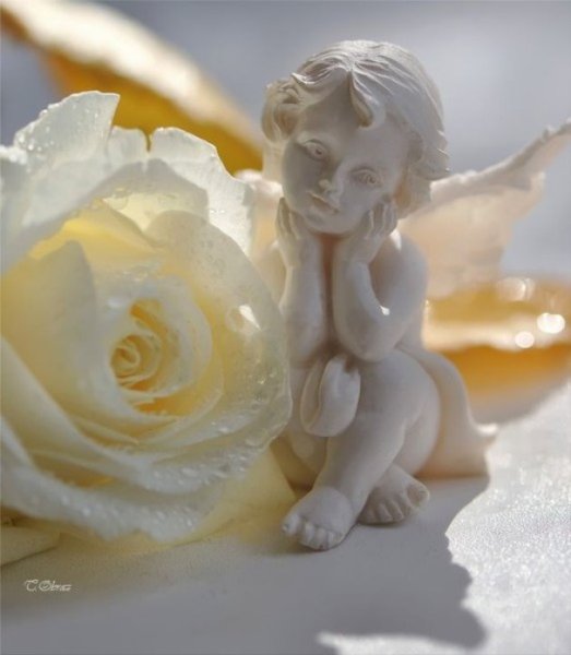 Ангелочек с розами