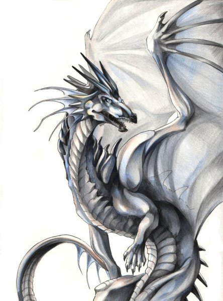 Рисунки серебряный дракон