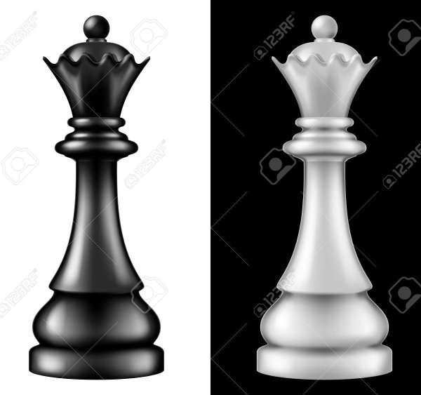 Шахматы черный Король белый ферзь
