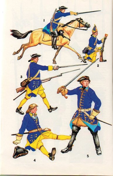 Шведская армия Карла 12 униформа