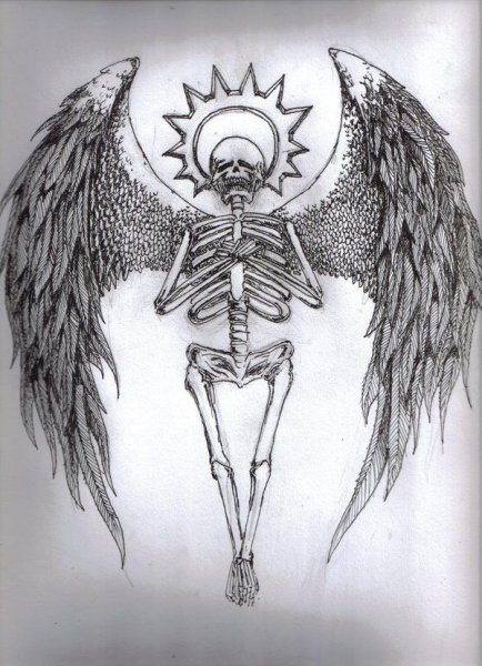 Скелет крыльев демона