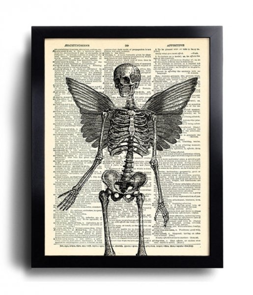 Плакат со скелетом с крыльями