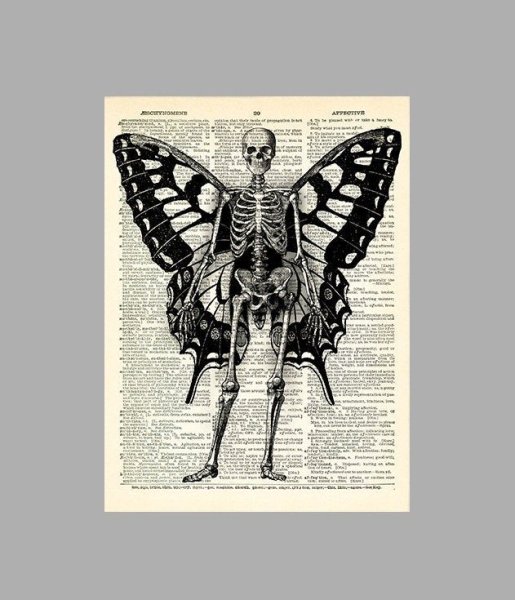 Скелет с крыльями бабочки