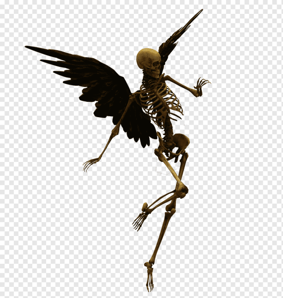 Скелет с крылышками