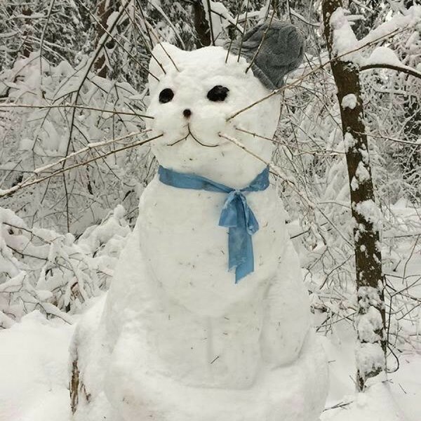 Кот из снега