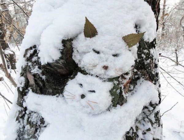 Котик из снега на дереве
