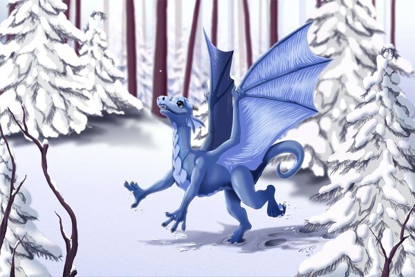 Снежный дракон картинки