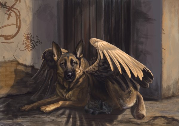 Собака с крыльями