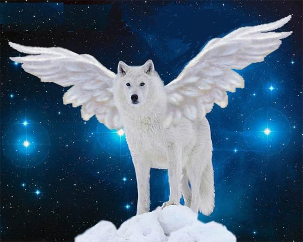 Крылатый волк Семаргл