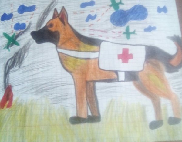 Собаки герои конкурс рисунков