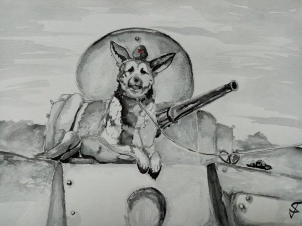 Музей Победы портрет фронтовой собаки