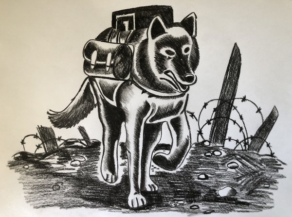 Рисунок фронтовой собаки 2023