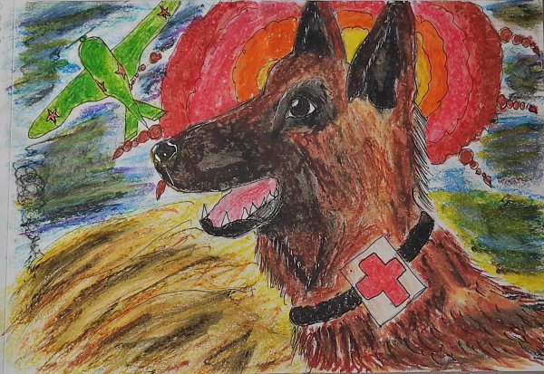 Рисунок фронтовой собаки конкурс
