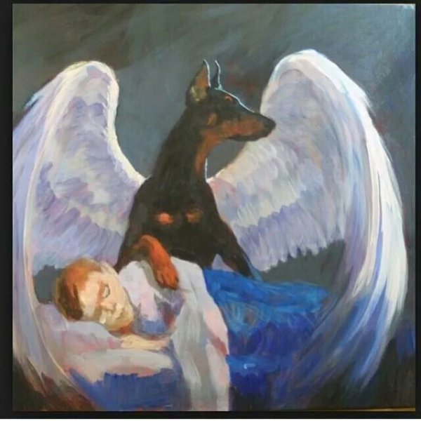 Доберман собака ангел