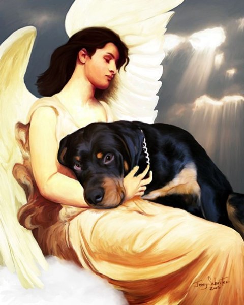 Собака ангел хранитель