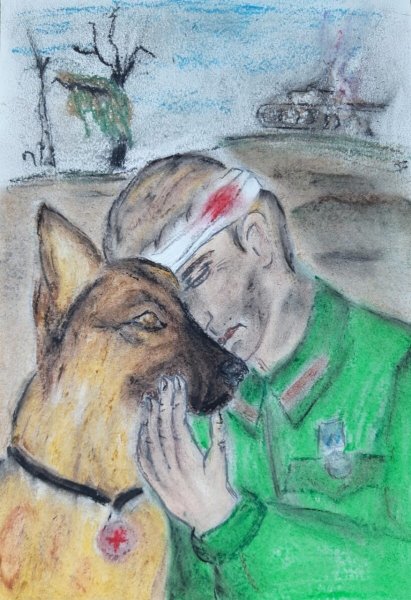 Портрет фронтовой собаки конкурс рисунков