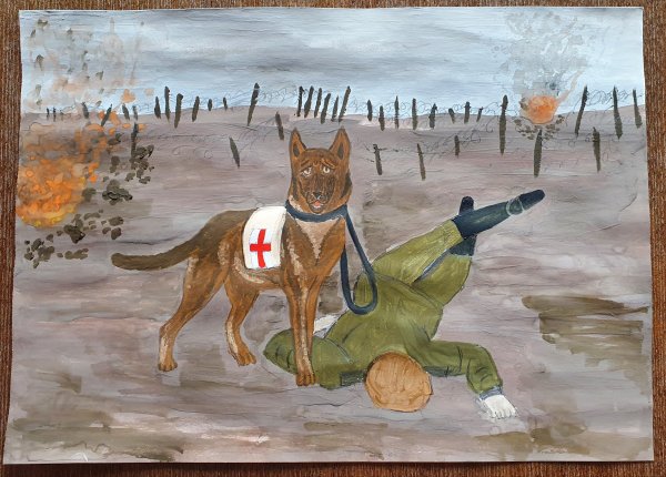 Собаки герои Великой Отечественной войны рисунки