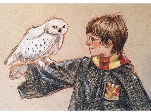 Букля Гарри Поттер рисунок