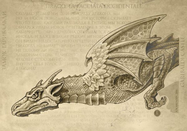 Гравюра средневековый дракон ВИВЕРН