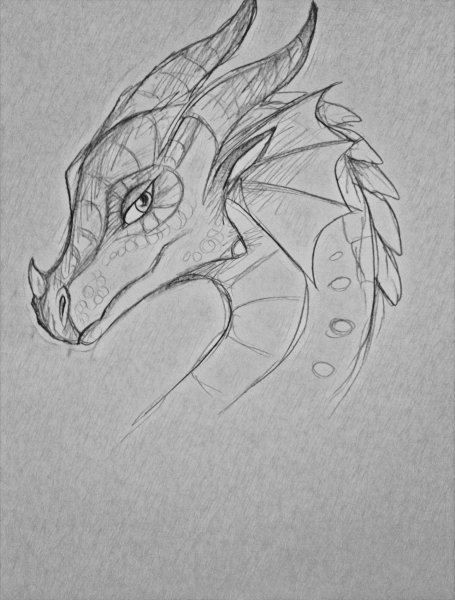 Картинки для срисовки карандашом драконы