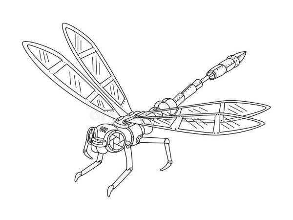Раскраска насекомые Скорпион