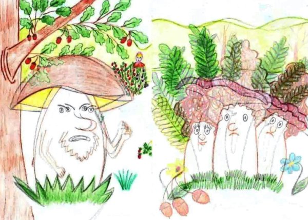 Война грибов с ягодами рисунок к сказке Даля
