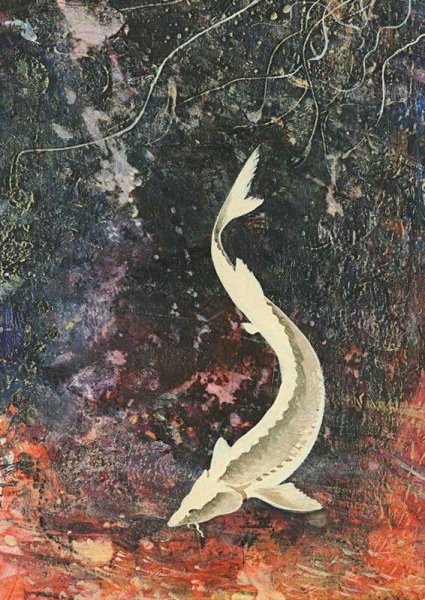 Царь-рыба Астафьев рисунок
