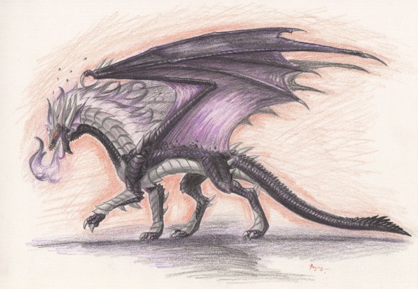 Последний в мире дракон рисунок