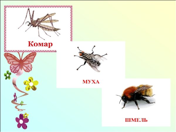 Гвидон комар Муха Шмель