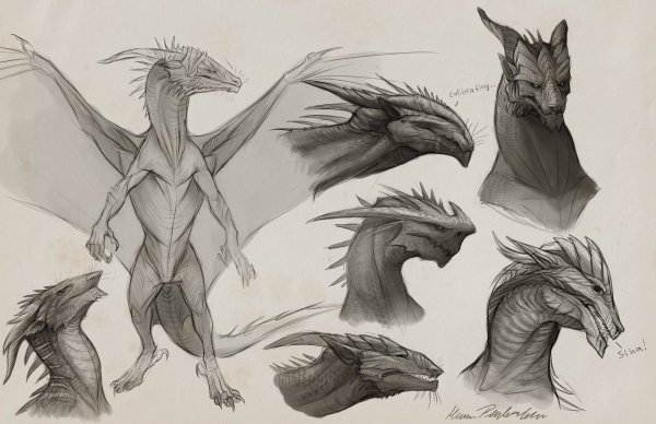 Рисунки туловище дракона