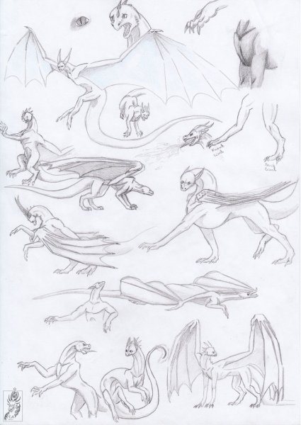 Анатомия драконов для рисования