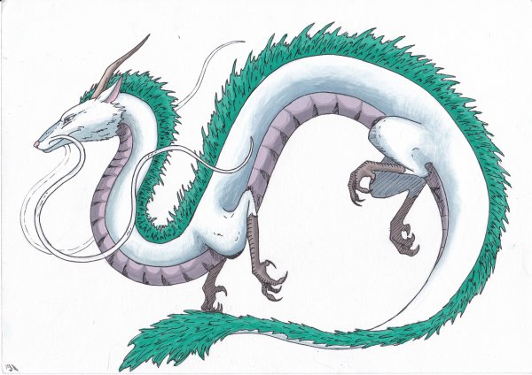 Китайский дракон референс Хаку