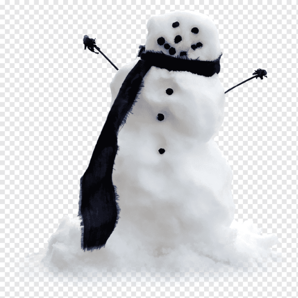 Снеговик реальный на белом фоне