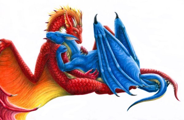 Рисунки влюбленные драконы