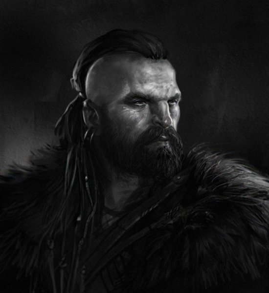 Мужские портреты викингов