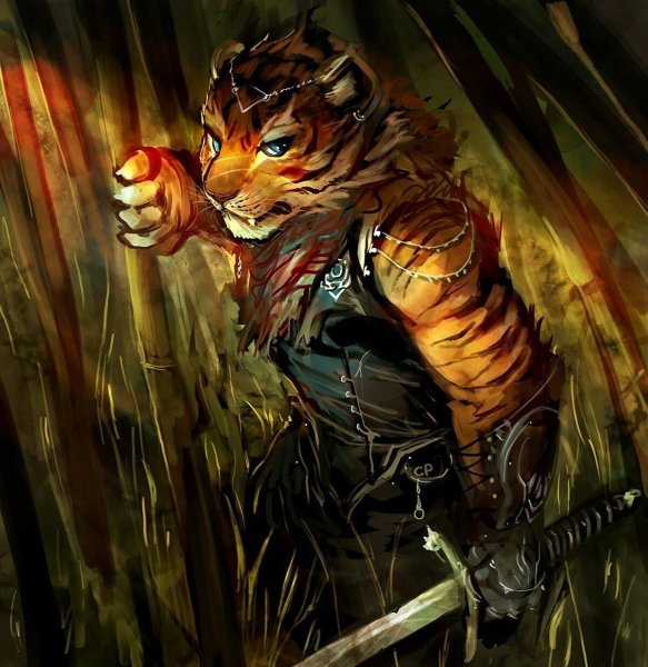 Каджит тигр
