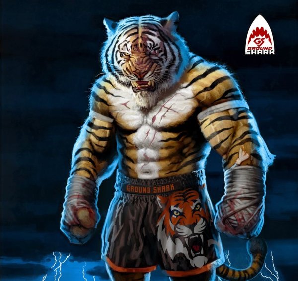 Тигр Муай Тай Тайланд