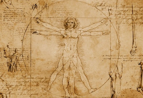Леонардо да Винчи чертежи человека