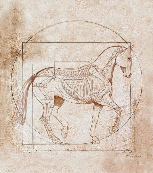 Леонардо да Винчи анатомия лошади
